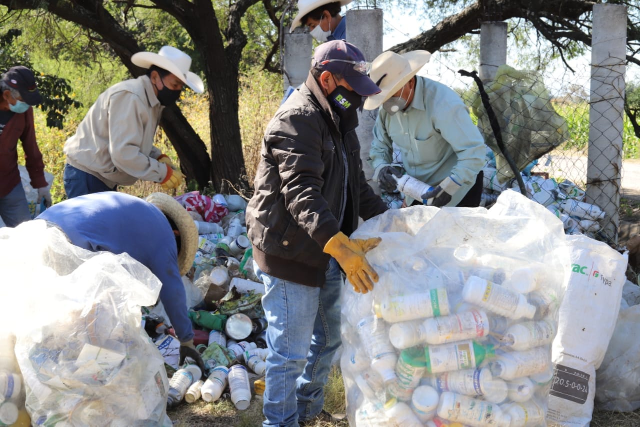 Campaña de Reciclaje